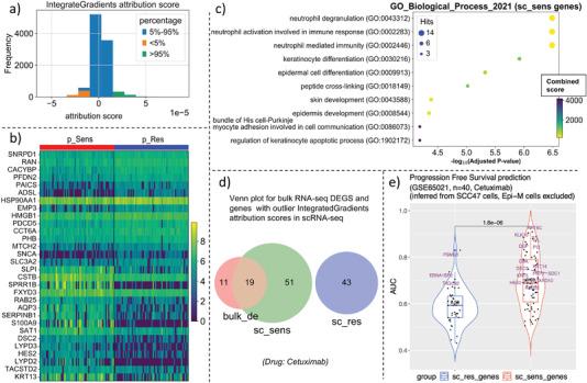 https://cdn.ncbi.nlm.nih.gov/pmc/blobs/346c/10104628/8e5ceb317838/ADVS-10-2204113-g005.jpg