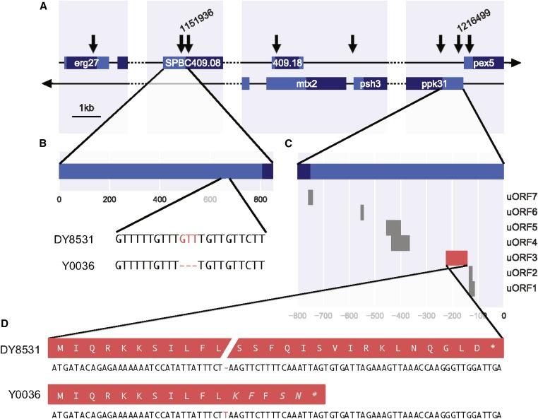 https://cdn.ncbi.nlm.nih.gov/pmc/blobs/346f/6216586/0859c1b3a96c/733fig3.jpg
