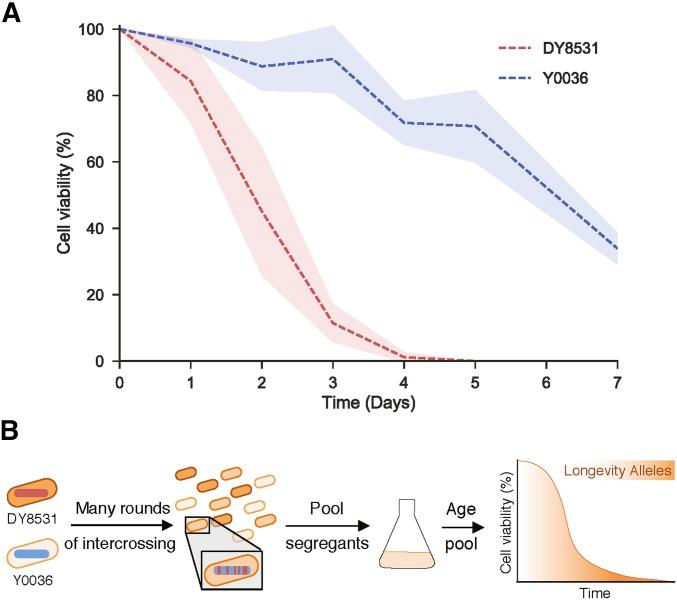 https://cdn.ncbi.nlm.nih.gov/pmc/blobs/346f/6216586/679685ea9136/733fig1.jpg