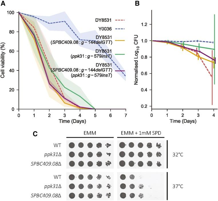 https://cdn.ncbi.nlm.nih.gov/pmc/blobs/346f/6216586/d82205bfd952/733fig4.jpg