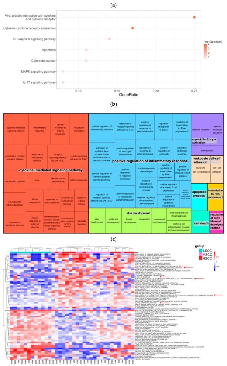 https://cdn.ncbi.nlm.nih.gov/pmc/blobs/3470/9264859/35b18c4fd9db/animals-12-01694-g007.jpg