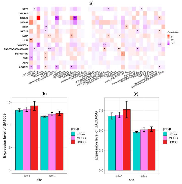 https://cdn.ncbi.nlm.nih.gov/pmc/blobs/3470/9264859/6f1f0baeb382/animals-12-01694-g008.jpg