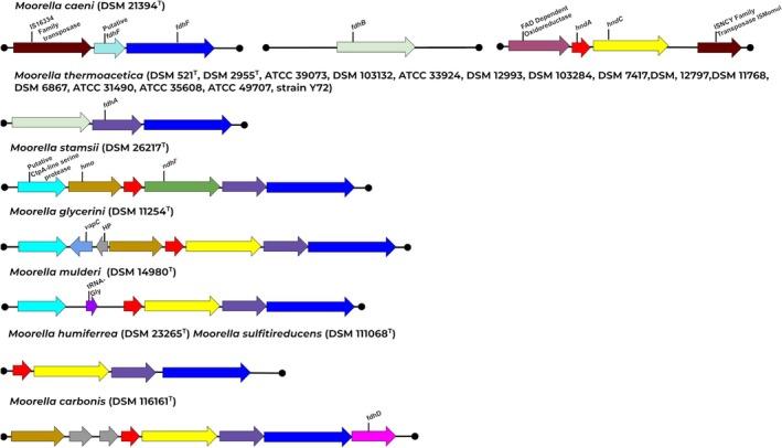 https://cdn.ncbi.nlm.nih.gov/pmc/blobs/3473/11996240/0ee760dafdcc/EMI-27-e70096-g004.jpg
