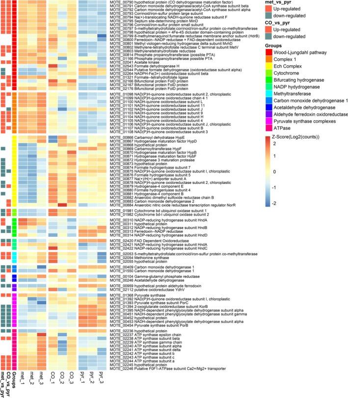https://cdn.ncbi.nlm.nih.gov/pmc/blobs/3473/11996240/9825fb2e8007/EMI-27-e70096-g007.jpg