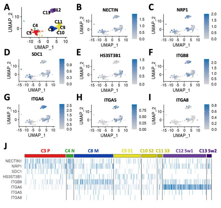 https://cdn.ncbi.nlm.nih.gov/pmc/blobs/3473/9495731/f760909a307c/biomedicines-10-02068-g003.jpg