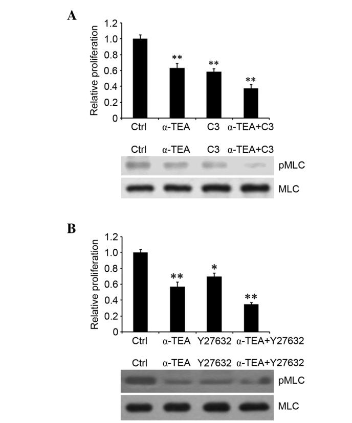 https://cdn.ncbi.nlm.nih.gov/pmc/blobs/3476/4991732/8ad5c6de30a9/MMR-14-03-2534-g04.jpg