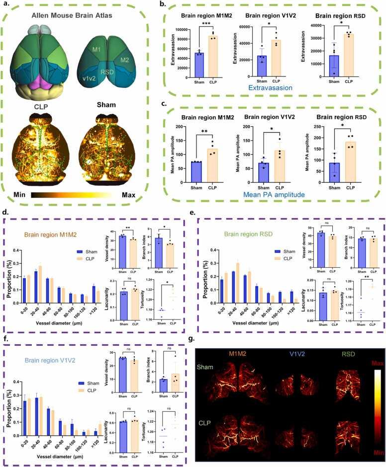 https://cdn.ncbi.nlm.nih.gov/pmc/blobs/3478/12166994/1b6d440d2eb4/gr6.jpg