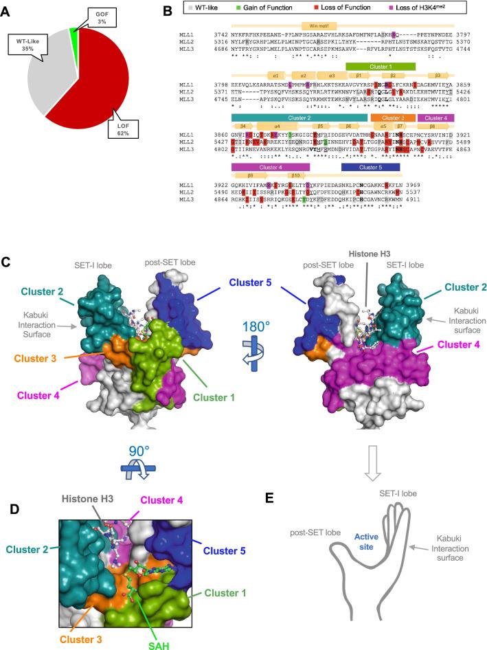 https://cdn.ncbi.nlm.nih.gov/pmc/blobs/3478/9630446/f9b79b388b3a/41598_2022_23229_Fig3_HTML.jpg