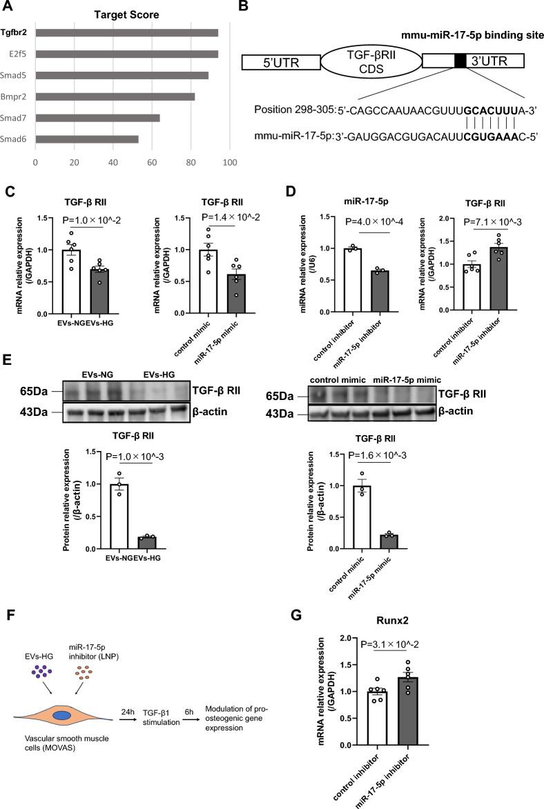 https://cdn.ncbi.nlm.nih.gov/pmc/blobs/3479/11251274/7c3ce53e0f72/41598_2024_67006_Fig3_HTML.jpg
