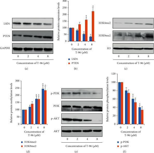 https://cdn.ncbi.nlm.nih.gov/pmc/blobs/347a/9581660/4b5edd1f7370/ACP2022-2522597.003.jpg