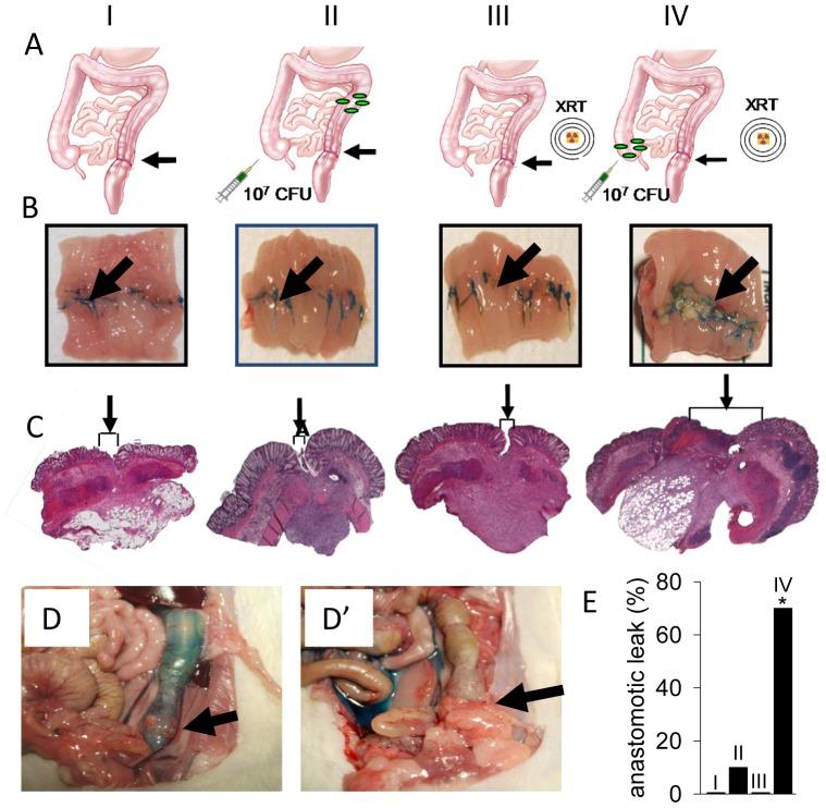 https://cdn.ncbi.nlm.nih.gov/pmc/blobs/347e/3432121/8bbc76a4ae58/pone.0044326.g001.jpg