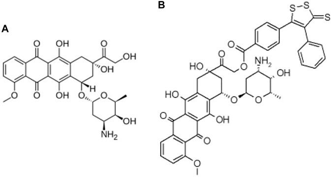 https://cdn.ncbi.nlm.nih.gov/pmc/blobs/347e/8936434/5dee0fc4a7fb/fphar-13-831791-g001.jpg