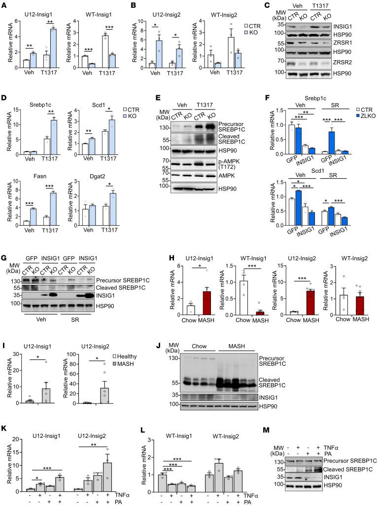 https://cdn.ncbi.nlm.nih.gov/pmc/blobs/3480/12077890/2caca62f0143/jci-135-186478-g225.jpg