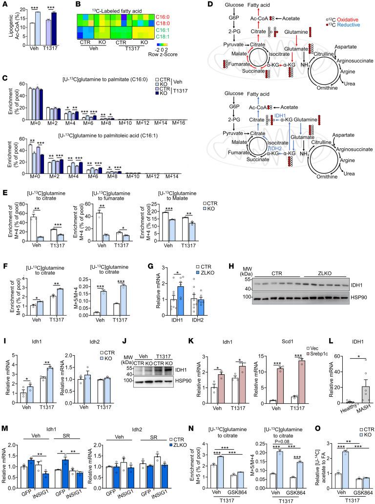 https://cdn.ncbi.nlm.nih.gov/pmc/blobs/3480/12077890/5aa1e93a10be/jci-135-186478-g227.jpg
