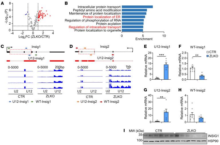 https://cdn.ncbi.nlm.nih.gov/pmc/blobs/3480/12077890/7fd10cb8ec79/jci-135-186478-g224.jpg