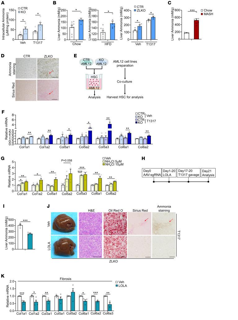 https://cdn.ncbi.nlm.nih.gov/pmc/blobs/3480/12077890/9349f5b859b5/jci-135-186478-g228.jpg