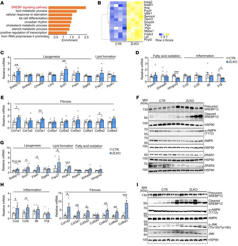 https://cdn.ncbi.nlm.nih.gov/pmc/blobs/3480/12077890/adbde923c768/jci-135-186478-g222.jpg
