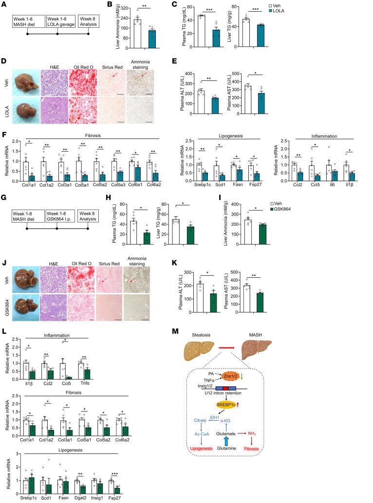 https://cdn.ncbi.nlm.nih.gov/pmc/blobs/3480/12077890/ae3504d2692b/jci-135-186478-g221.jpg