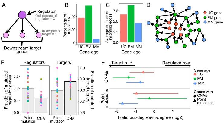 https://cdn.ncbi.nlm.nih.gov/pmc/blobs/3480/6402835/cfbf166573e8/elife-40947-fig2.jpg