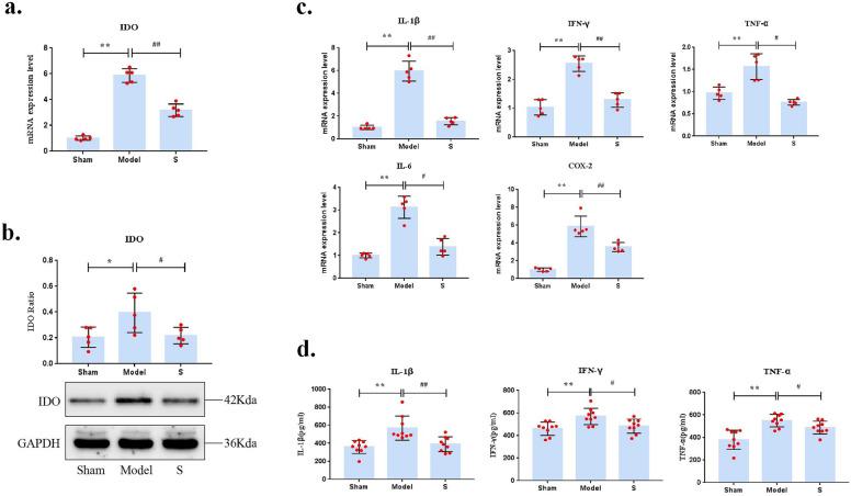 https://cdn.ncbi.nlm.nih.gov/pmc/blobs/3481/11136956/18bbbbf13d93/41598_2024_62472_Fig5_HTML.jpg