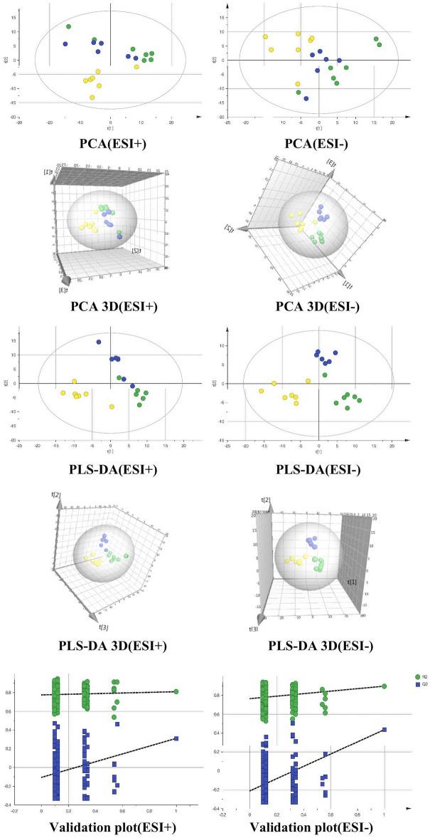 https://cdn.ncbi.nlm.nih.gov/pmc/blobs/3481/11136956/569105616d10/41598_2024_62472_Fig3_HTML.jpg