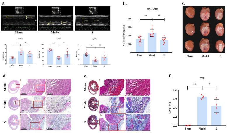 https://cdn.ncbi.nlm.nih.gov/pmc/blobs/3481/11136956/674c8c101cb0/41598_2024_62472_Fig1_HTML.jpg