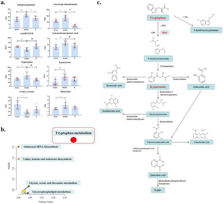 https://cdn.ncbi.nlm.nih.gov/pmc/blobs/3481/11136956/73c3da0deb6b/41598_2024_62472_Fig4_HTML.jpg