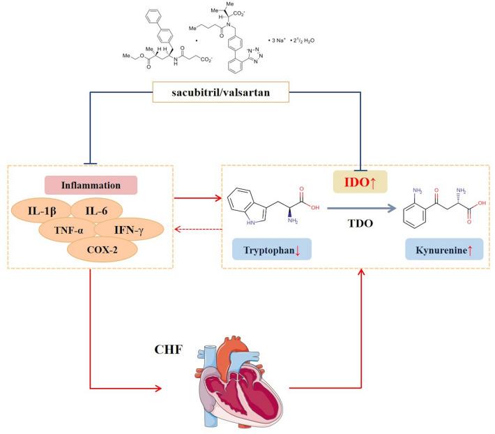 https://cdn.ncbi.nlm.nih.gov/pmc/blobs/3481/11136956/a12181a59b0f/41598_2024_62472_Fig6_HTML.jpg