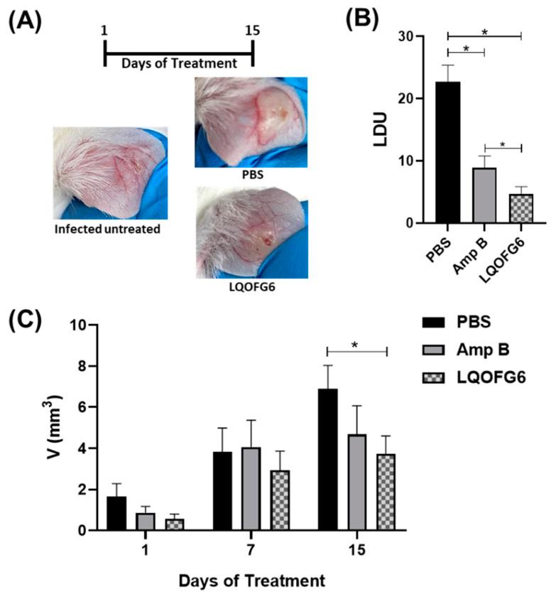 https://cdn.ncbi.nlm.nih.gov/pmc/blobs/3483/9775234/4fe751a02059/biomolecules-12-01903-g006.jpg