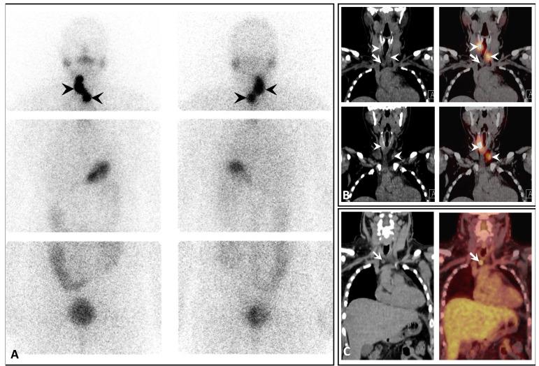 https://cdn.ncbi.nlm.nih.gov/pmc/blobs/3484/7527547/30399323ebfd/CPD-26-3812_F6.jpg