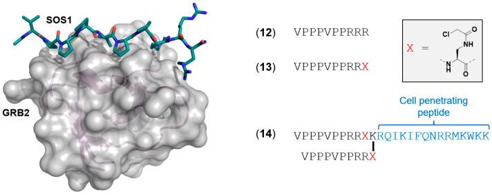 https://cdn.ncbi.nlm.nih.gov/pmc/blobs/3485/10139024/cd58beb562ed/ijms-24-07373-g006.jpg