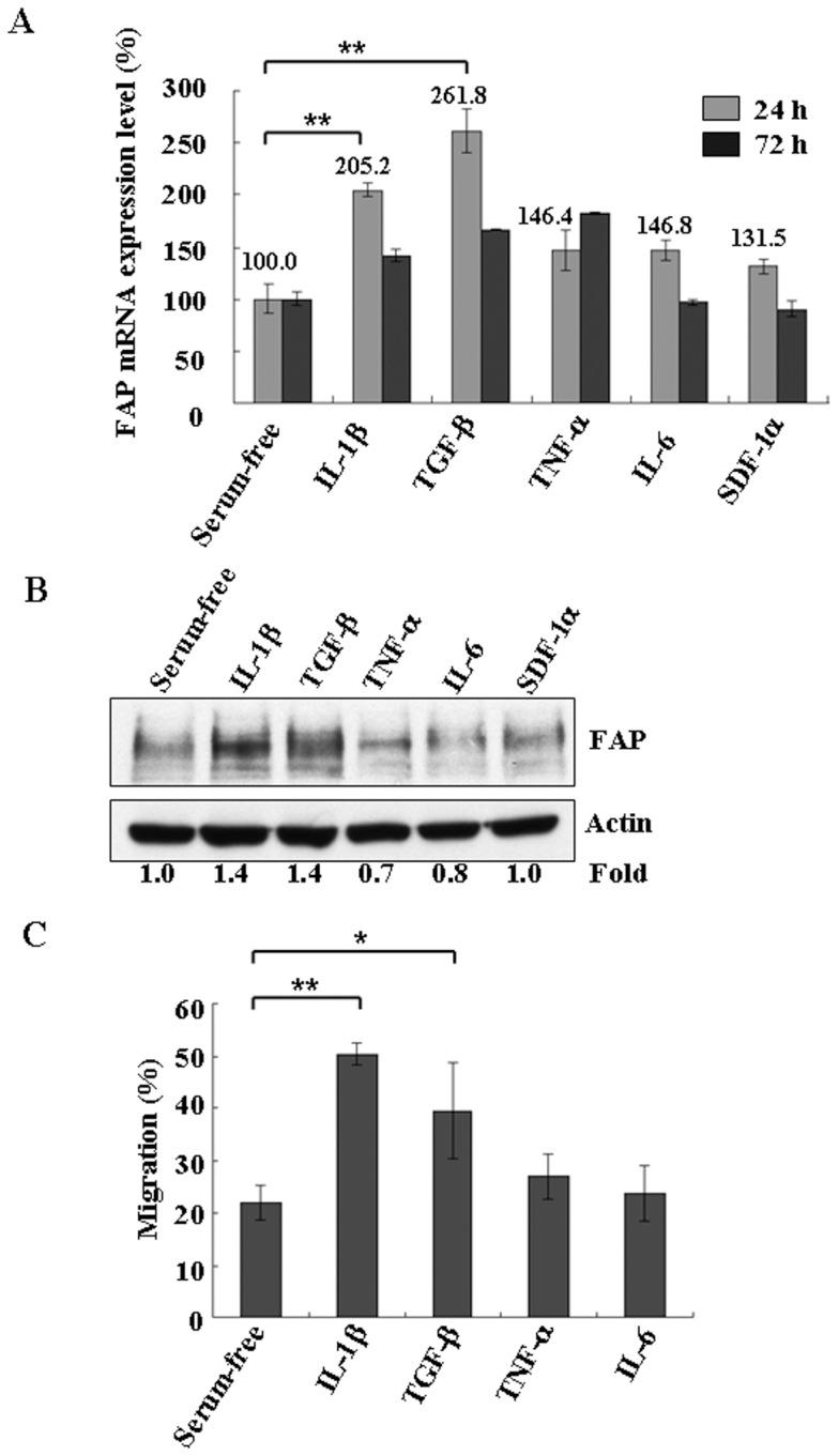 https://cdn.ncbi.nlm.nih.gov/pmc/blobs/3485/3923824/0d5e144809cf/pone.0088772.g007.jpg