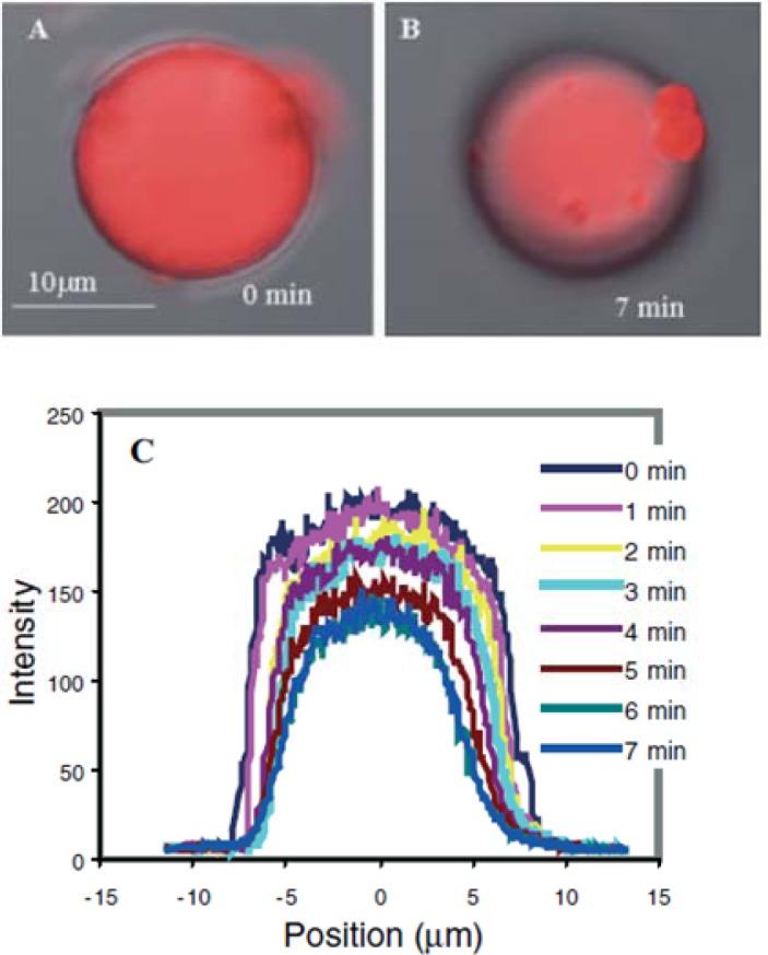 https://cdn.ncbi.nlm.nih.gov/pmc/blobs/3485/5453090/03b007bf0f78/materials-07-00805f23.jpg