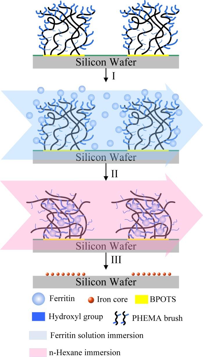https://cdn.ncbi.nlm.nih.gov/pmc/blobs/3485/5453090/193b02097034/materials-07-00805f16.jpg