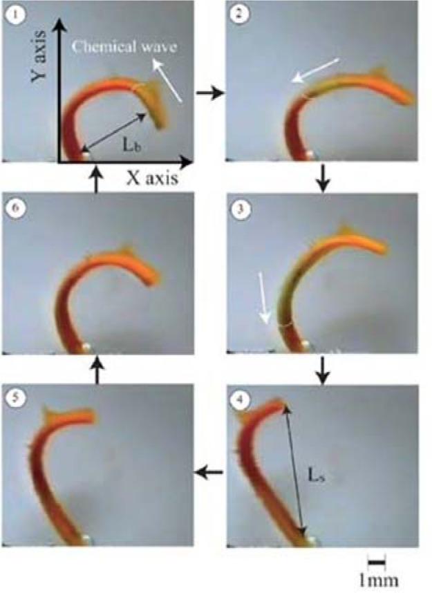 https://cdn.ncbi.nlm.nih.gov/pmc/blobs/3485/5453090/abe66b3103a9/materials-07-00805f24.jpg