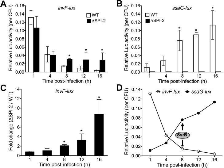 https://cdn.ncbi.nlm.nih.gov/pmc/blobs/3485/5562331/252c2cf4c270/ppat.1006497.g008.jpg