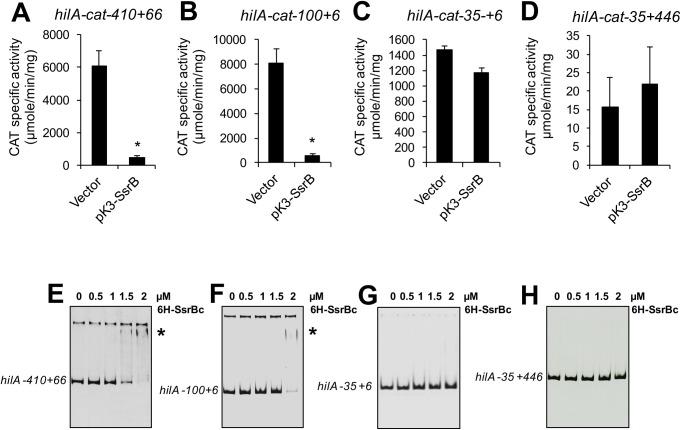 https://cdn.ncbi.nlm.nih.gov/pmc/blobs/3485/5562331/c93c6aee76b3/ppat.1006497.g006.jpg