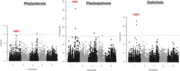 https://cdn.ncbi.nlm.nih.gov/pmc/blobs/3486/9300173/d28ac5c5aba2/PCE-45-479-g003.jpg