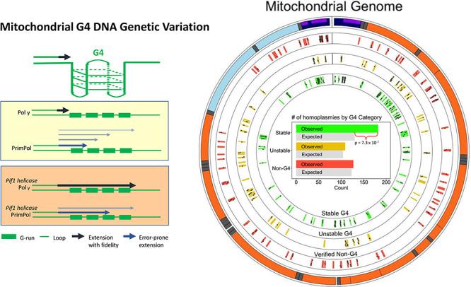 https://cdn.ncbi.nlm.nih.gov/pmc/blobs/3487/7254849/ccb257b8e9dc/ddaa043ga1.jpg