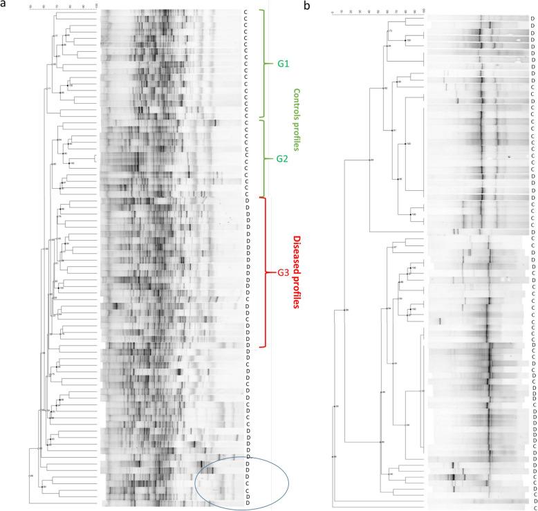 https://cdn.ncbi.nlm.nih.gov/pmc/blobs/3487/7298784/ddd5a8299a93/12916_2020_1607_Fig2_HTML.jpg