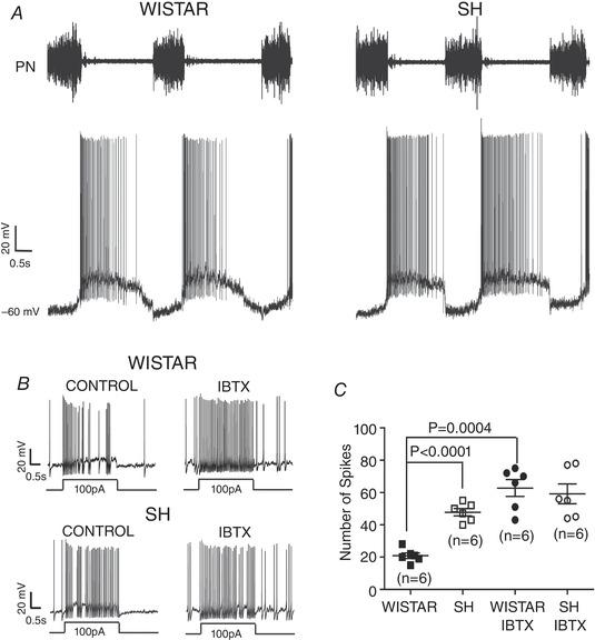 https://cdn.ncbi.nlm.nih.gov/pmc/blobs/3487/9322470/60c1f91d10eb/TJP-600-2049-g010.jpg