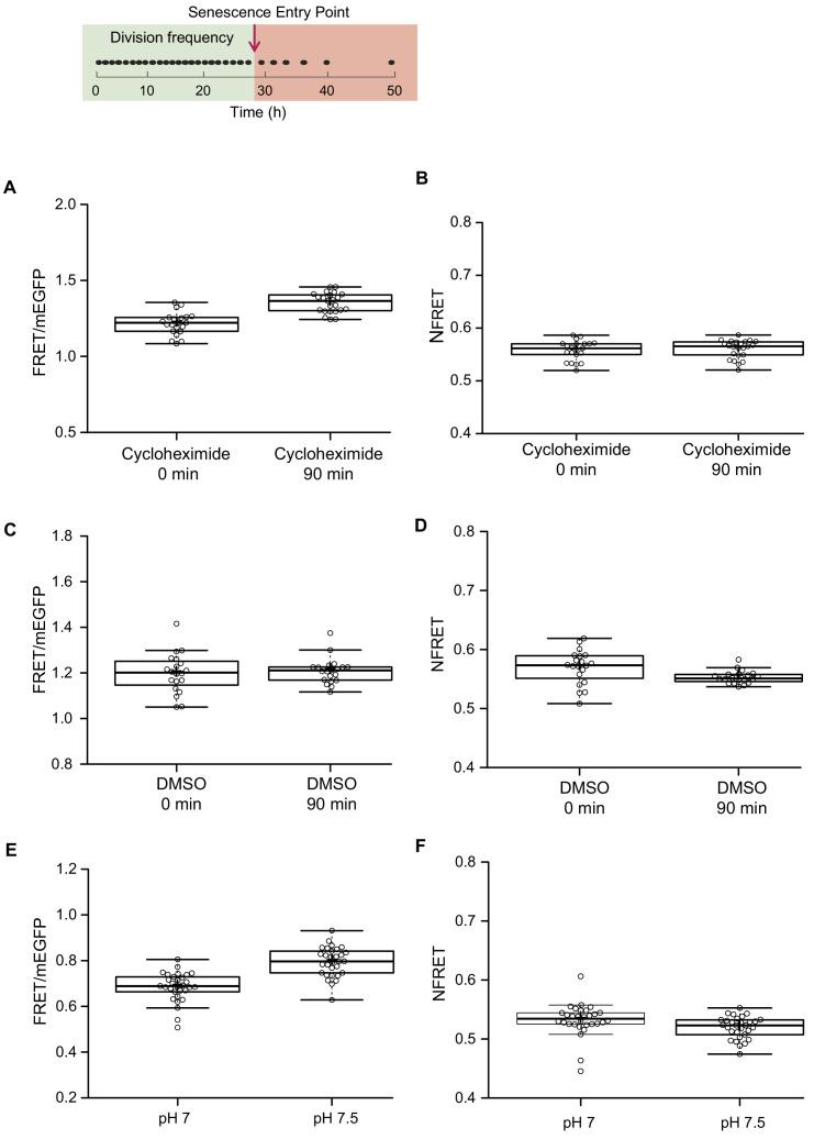https://cdn.ncbi.nlm.nih.gov/pmc/blobs/3488/7556870/9c1bfb985583/elife-54707-fig2-figsupp1.jpg