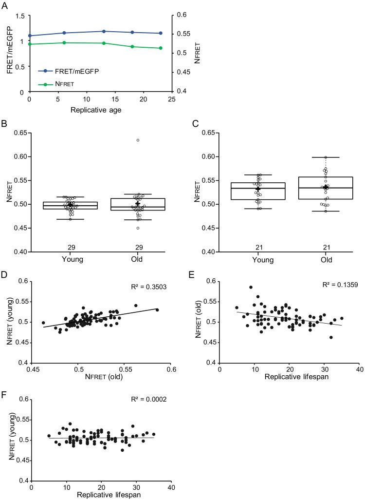 https://cdn.ncbi.nlm.nih.gov/pmc/blobs/3488/7556870/c2ae555c57c7/elife-54707-fig3-figsupp1.jpg