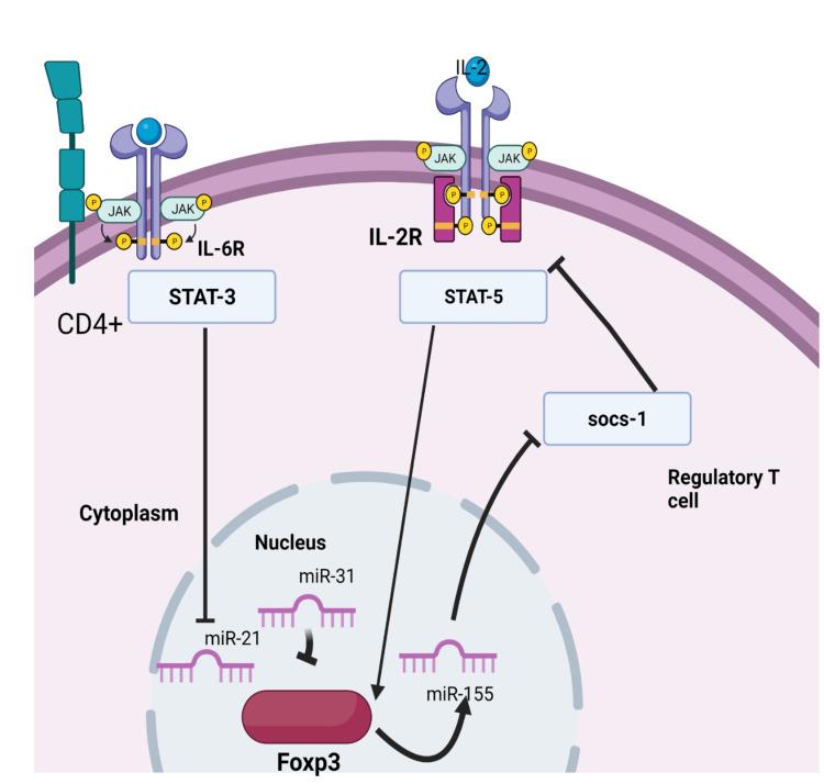 https://cdn.ncbi.nlm.nih.gov/pmc/blobs/348a/9514671/62d3ecb419b1/cureus-0014-00000028358-i02.jpg