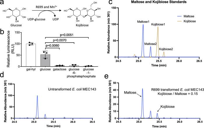 https://cdn.ncbi.nlm.nih.gov/pmc/blobs/348b/12279948/0330157b3c63/41467_2025_61973_Fig6_HTML.jpg