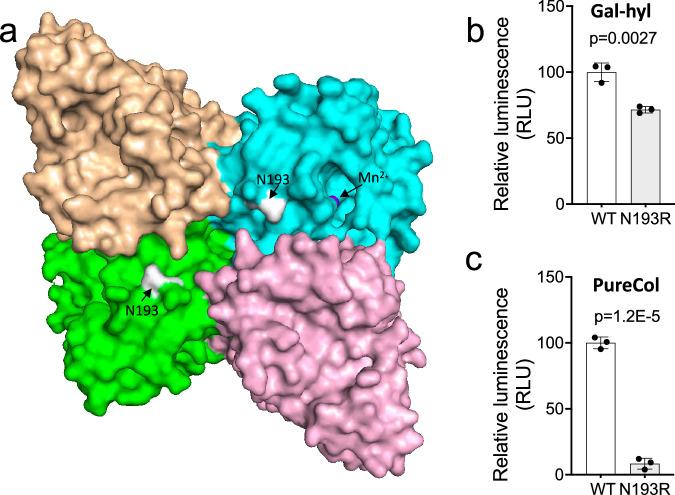 https://cdn.ncbi.nlm.nih.gov/pmc/blobs/348b/12279948/d0b5062bb0a5/41467_2025_61973_Fig4_HTML.jpg
