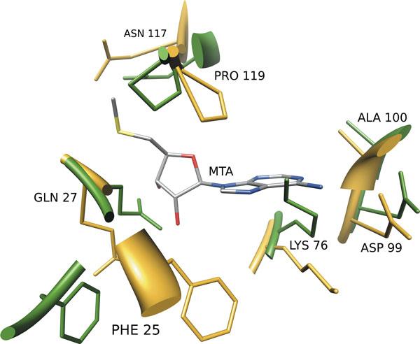 https://cdn.ncbi.nlm.nih.gov/pmc/blobs/348e/3434446/dc662d508704/1471-2105-13-S4-S17-4.jpg