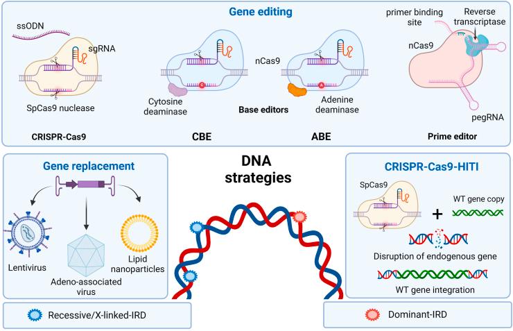 https://cdn.ncbi.nlm.nih.gov/pmc/blobs/348f/12142558/75d65e8fe5e0/gr1.jpg