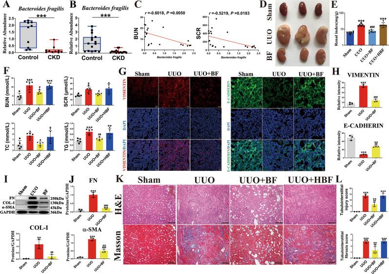 https://cdn.ncbi.nlm.nih.gov/pmc/blobs/348f/9568537/20de1d07a676/41467_2022_33824_Fig1_HTML.jpg