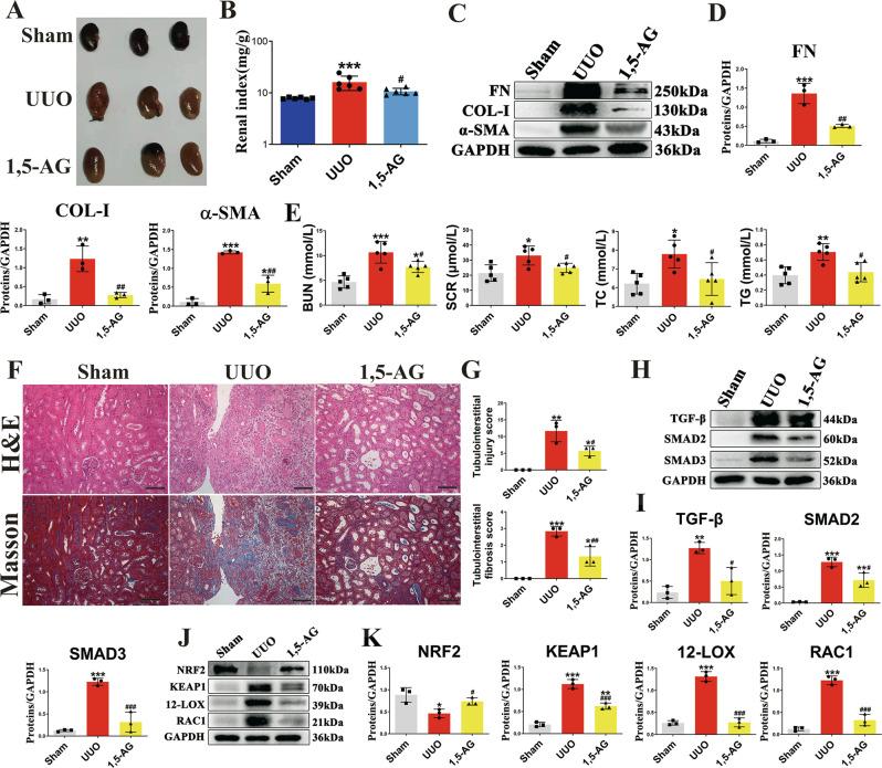 https://cdn.ncbi.nlm.nih.gov/pmc/blobs/348f/9568537/786d5c0e337b/41467_2022_33824_Fig3_HTML.jpg
